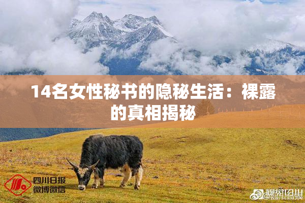 14名女性秘书的隐秘生活：裸露的真相揭秘