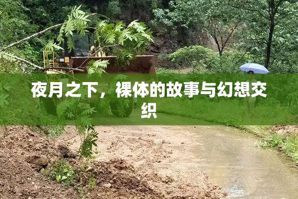夜月之下，裸体的故事与幻想交织