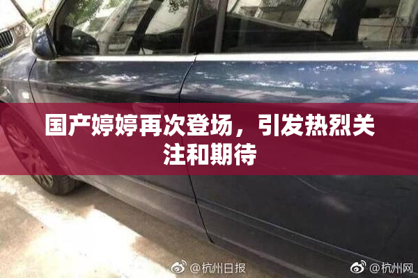 国产婷婷再次登场，引发热烈关注和期待