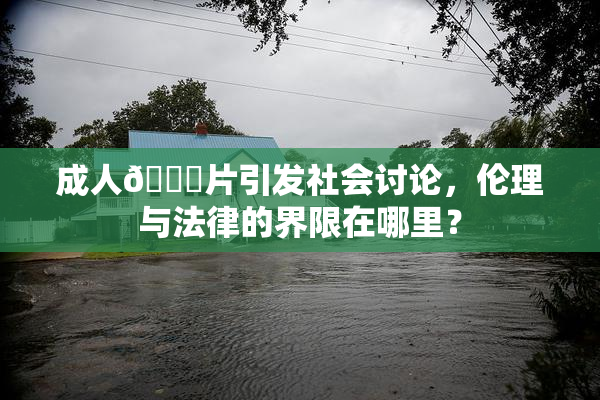 成人🔞片引发社会讨论，伦理与法律的界限在哪里？