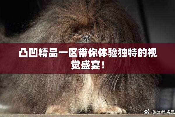 凸凹精品一区带你体验独特的视觉盛宴！