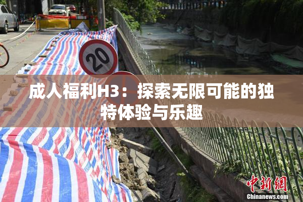 成人福利H3：探索无限可能的独特体验与乐趣