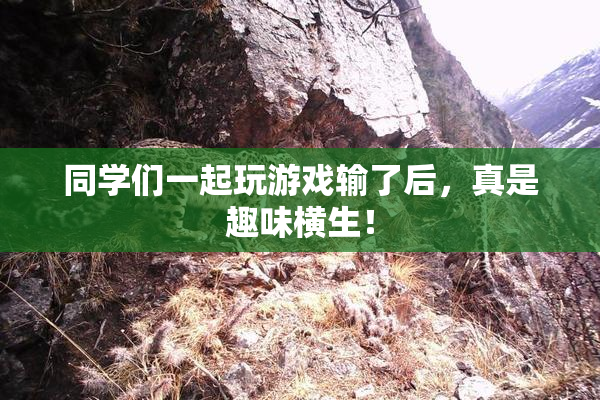 同学们一起玩游戏输了后，真是趣味横生！