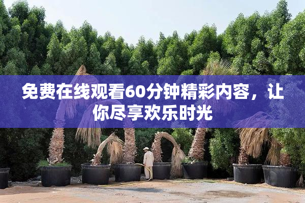 免费在线观看60分钟精彩内容，让你尽享欢乐时光