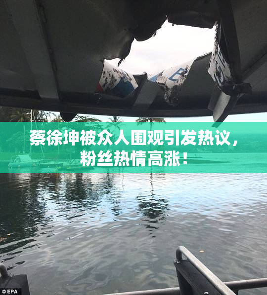 蔡徐坤被众人围观引发热议，粉丝热情高涨！