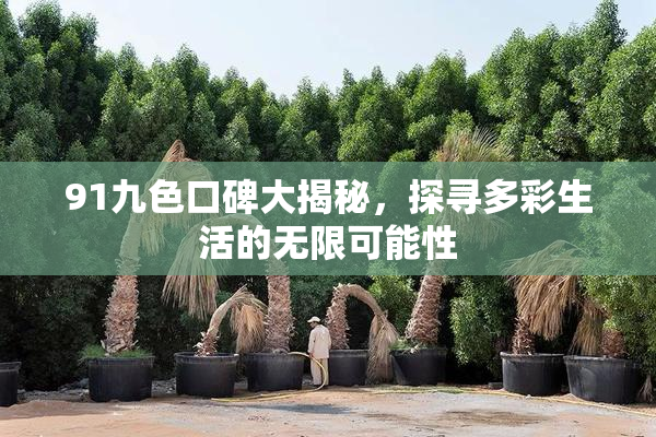 91九色口碑大揭秘，探寻多彩生活的无限可能性