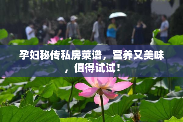 孕妇秘传私房菜谱，营养又美味，值得试试！