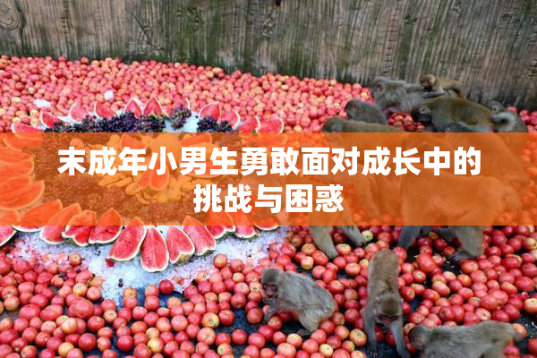 末成年小男生勇敢面对成长中的挑战与困惑