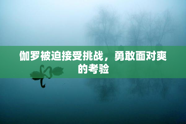 伽罗被迫接受挑战，勇敢面对爽的考验