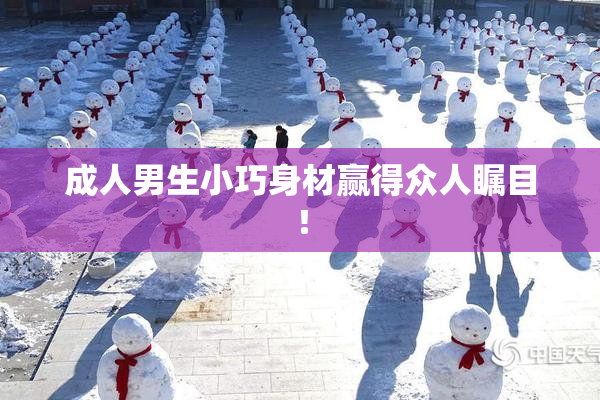 成人男生小巧身材赢得众人瞩目！