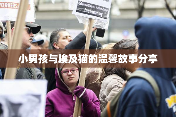小男孩与埃及猫的温馨故事分享