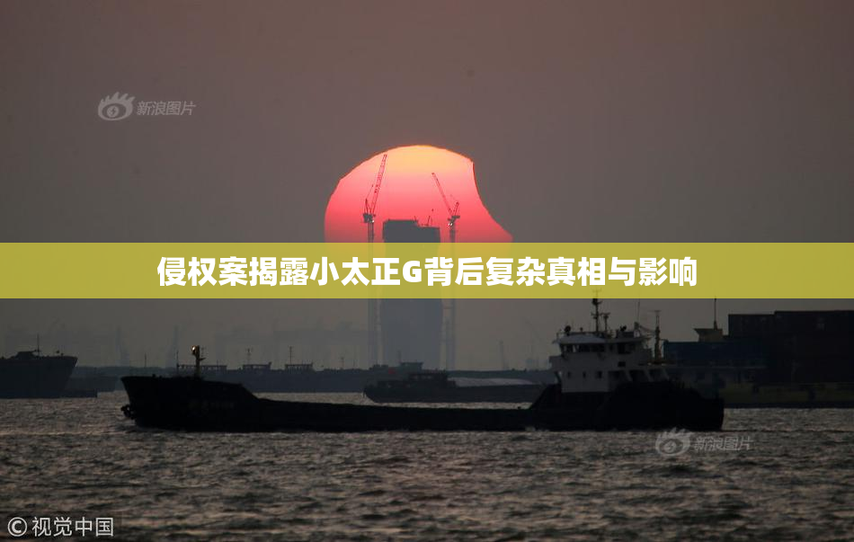 侵权案揭露小太正G背后复杂真相与影响