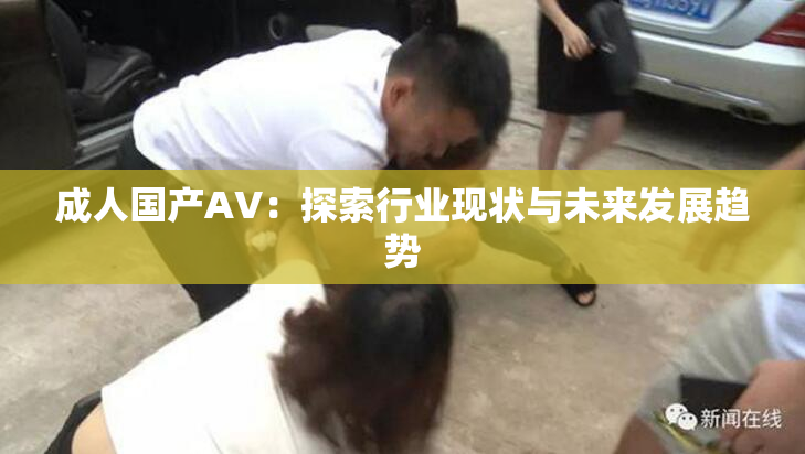 成人国产AV：探索行业现状与未来发展趋势