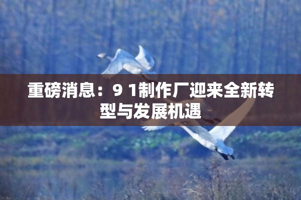 重磅消息：9 1制作厂迎来全新转型与发展机遇