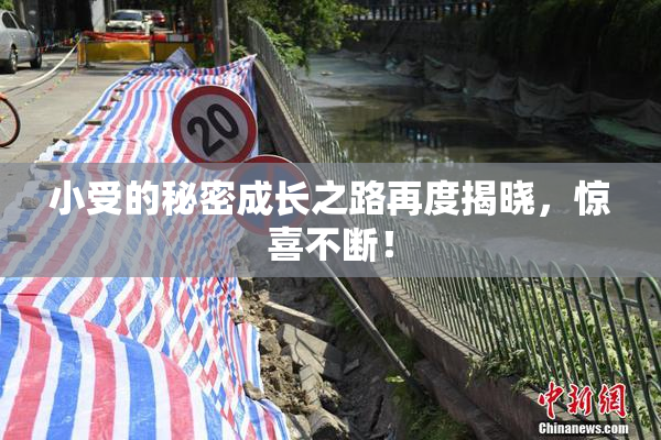 小受的秘密成长之路再度揭晓，惊喜不断！