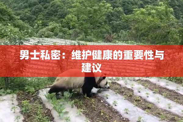 男士私密：维护健康的重要性与建议