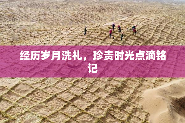 经历岁月洗礼，珍贵时光点滴铭记