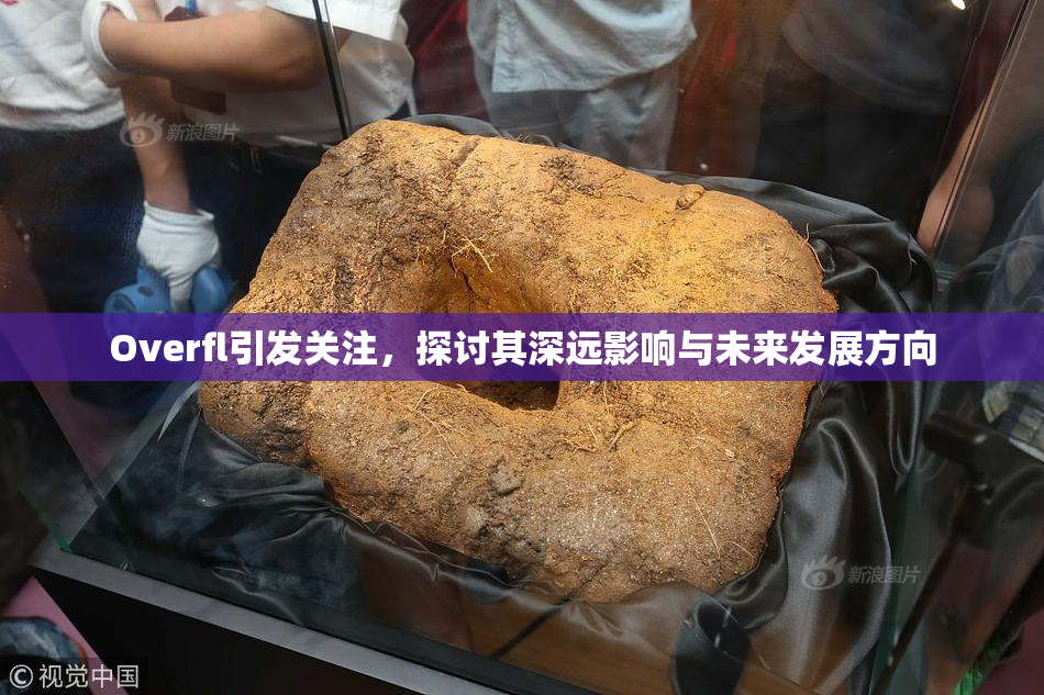 Overfl引发关注，探讨其深远影响与未来发展方向