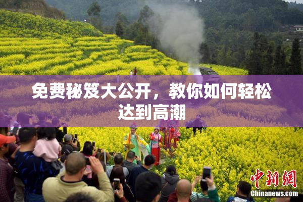 免费秘笈大公开，教你如何轻松达到高潮