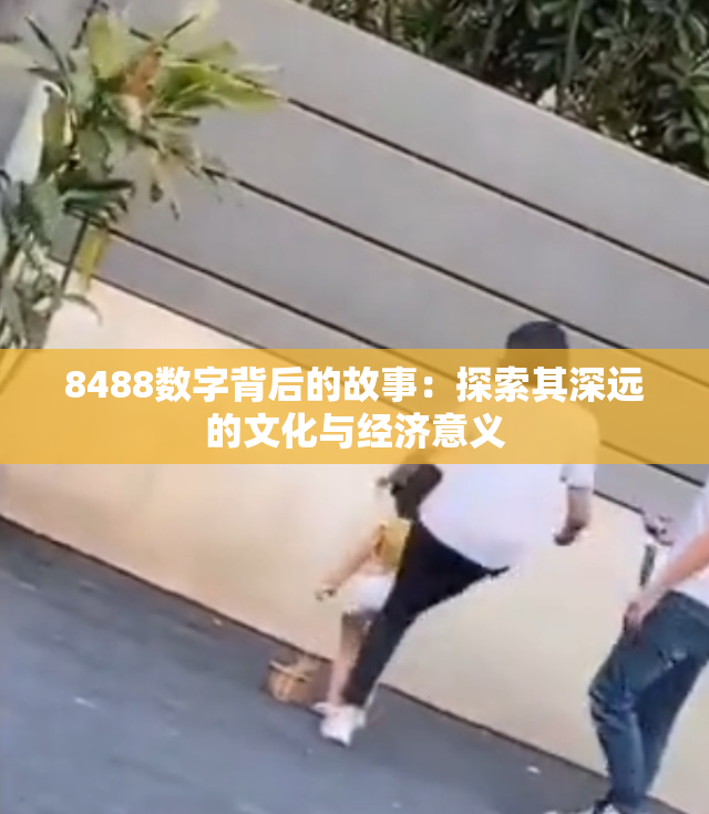 8488数字背后的故事：探索其深远的文化与经济意义
