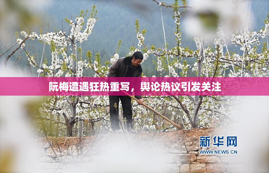 阮梅遭遇狂热重写，舆论热议引发关注