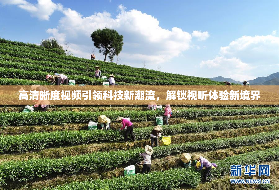 高清晰度视频引领科技新潮流，解锁视听体验新境界