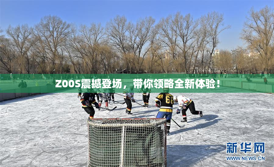 Z00S震撼登场，带你领略全新体验！
