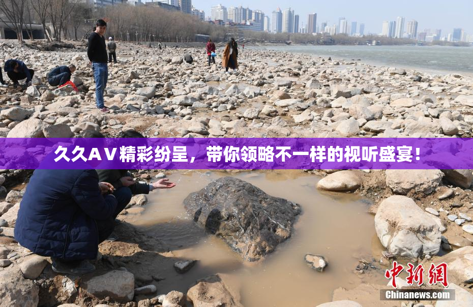 久久AⅤ精彩纷呈，带你领略不一样的视听盛宴！
