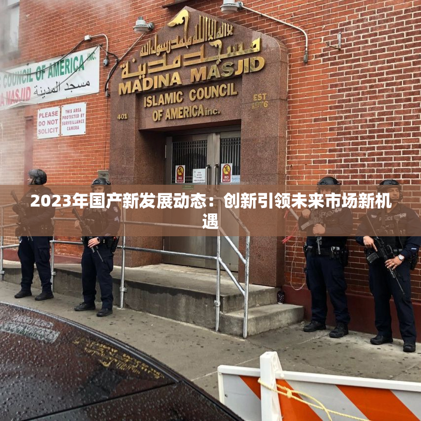 2023年国产新发展动态：创新引领未来市场新机遇