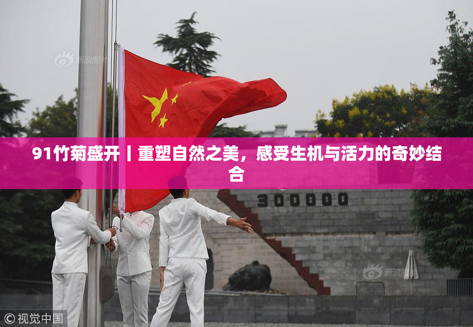 91竹菊盛开丨重塑自然之美，感受生机与活力的奇妙结合