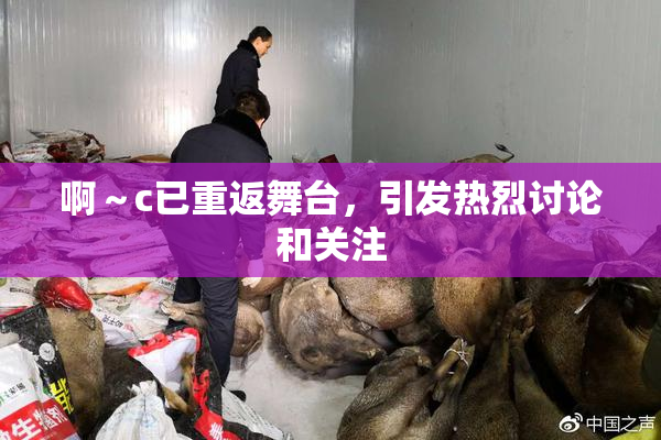 啊～c已重返舞台，引发热烈讨论和关注