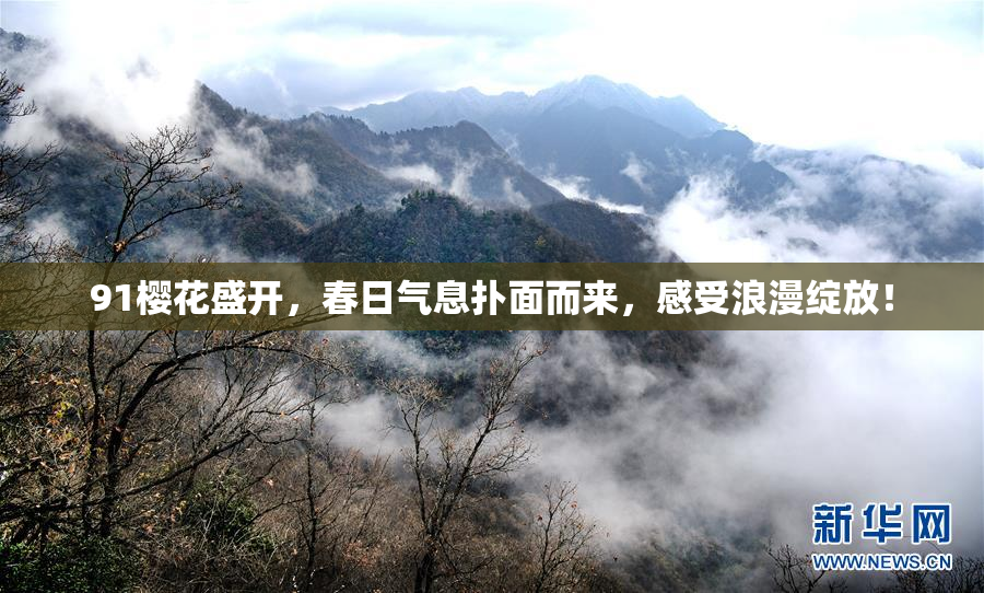 91樱花盛开，春日气息扑面而来，感受浪漫绽放！