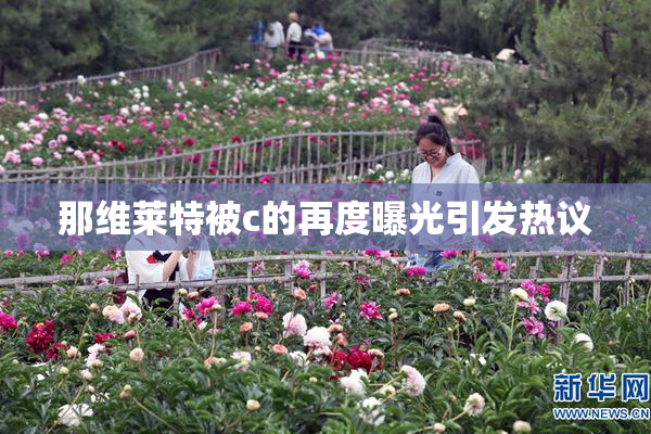 那维莱特被c的再度曝光引发热议