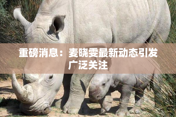 重磅消息：麦晓雯最新动态引发广泛关注
