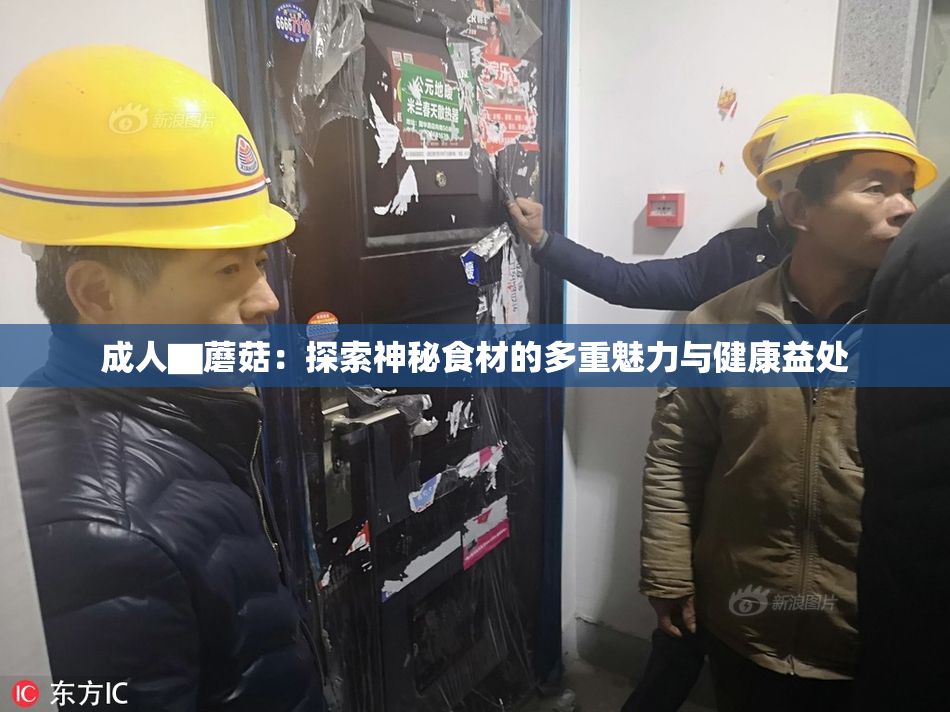 成人▇蘑菇：探索神秘食材的多重魅力与健康益处