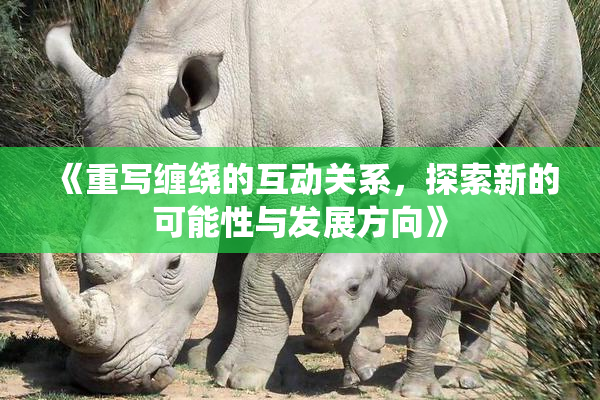 《重写缠绕的互动关系，探索新的可能性与发展方向》