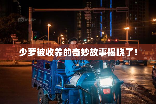 少萝被收养的奇妙故事揭晓了！