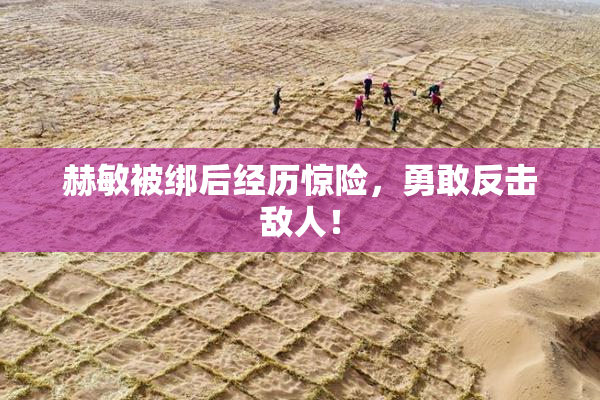 赫敏被绑后经历惊险，勇敢反击敌人！