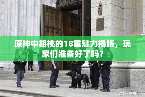 原神中胡桃的18重魅力揭晓，玩家们准备好了吗？
