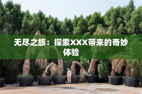无尽之旅：探索XXX带来的奇妙体验