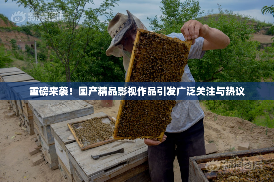 重磅来袭！国产精品影视作品引发广泛关注与热议