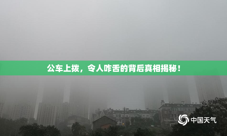 公车上拨，令人咋舌的背后真相揭秘！