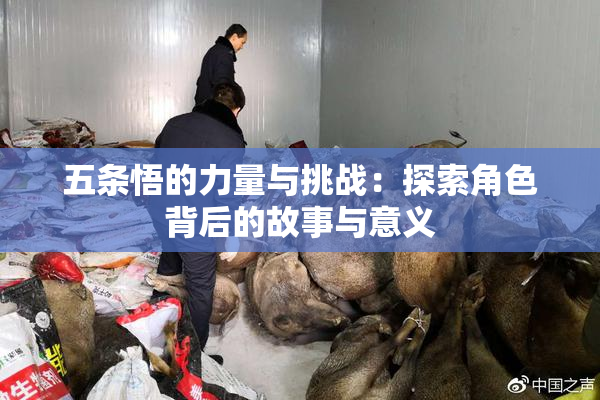 五条悟的力量与挑战：探索角色背后的故事与意义