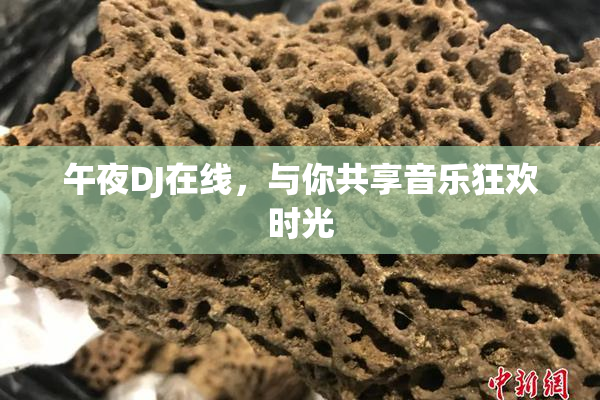 午夜DJ在线，与你共享音乐狂欢时光