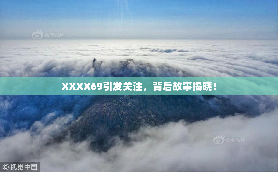 XXXX69引发关注，背后故事揭晓！