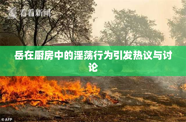 岳在厨房中的淫荡行为引发热议与讨论