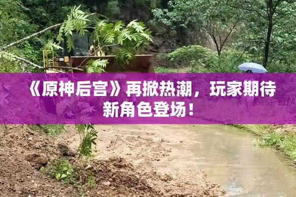 《原神后宫》再掀热潮，玩家期待新角色登场！