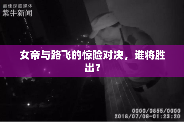 女帝与路飞的惊险对决，谁将胜出？