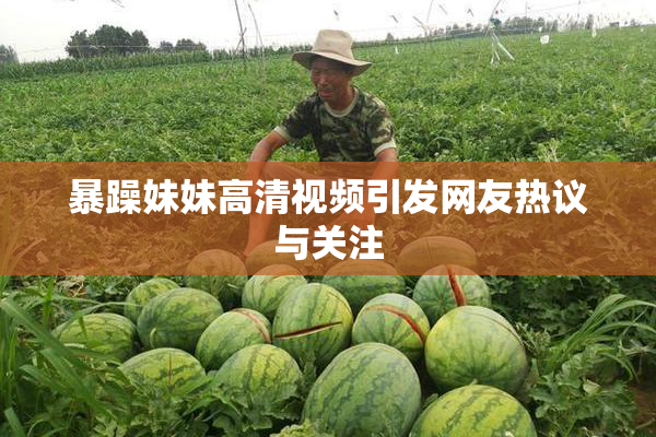 暴躁妹妹高清视频引发网友热议与关注