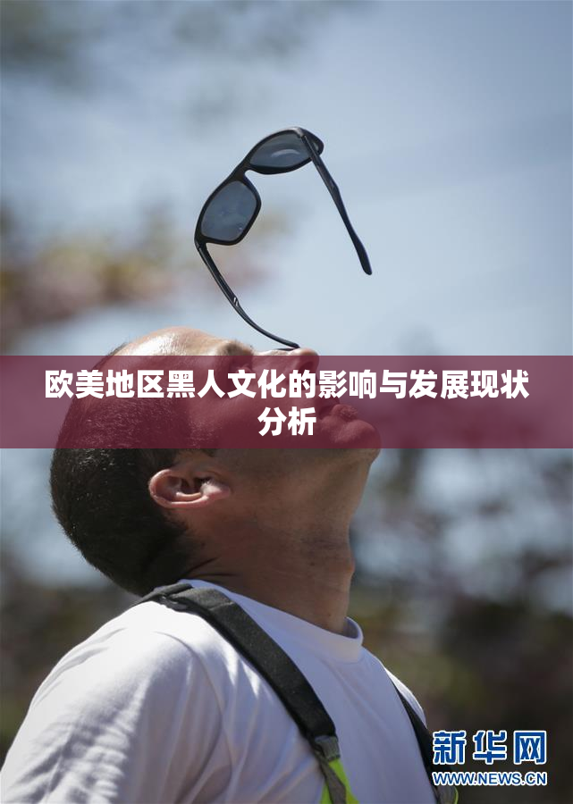 欧美地区黑人文化的影响与发展现状分析